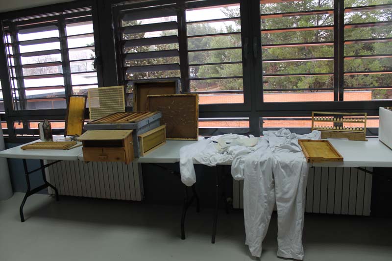 Semana Ciencias en Los Tilos